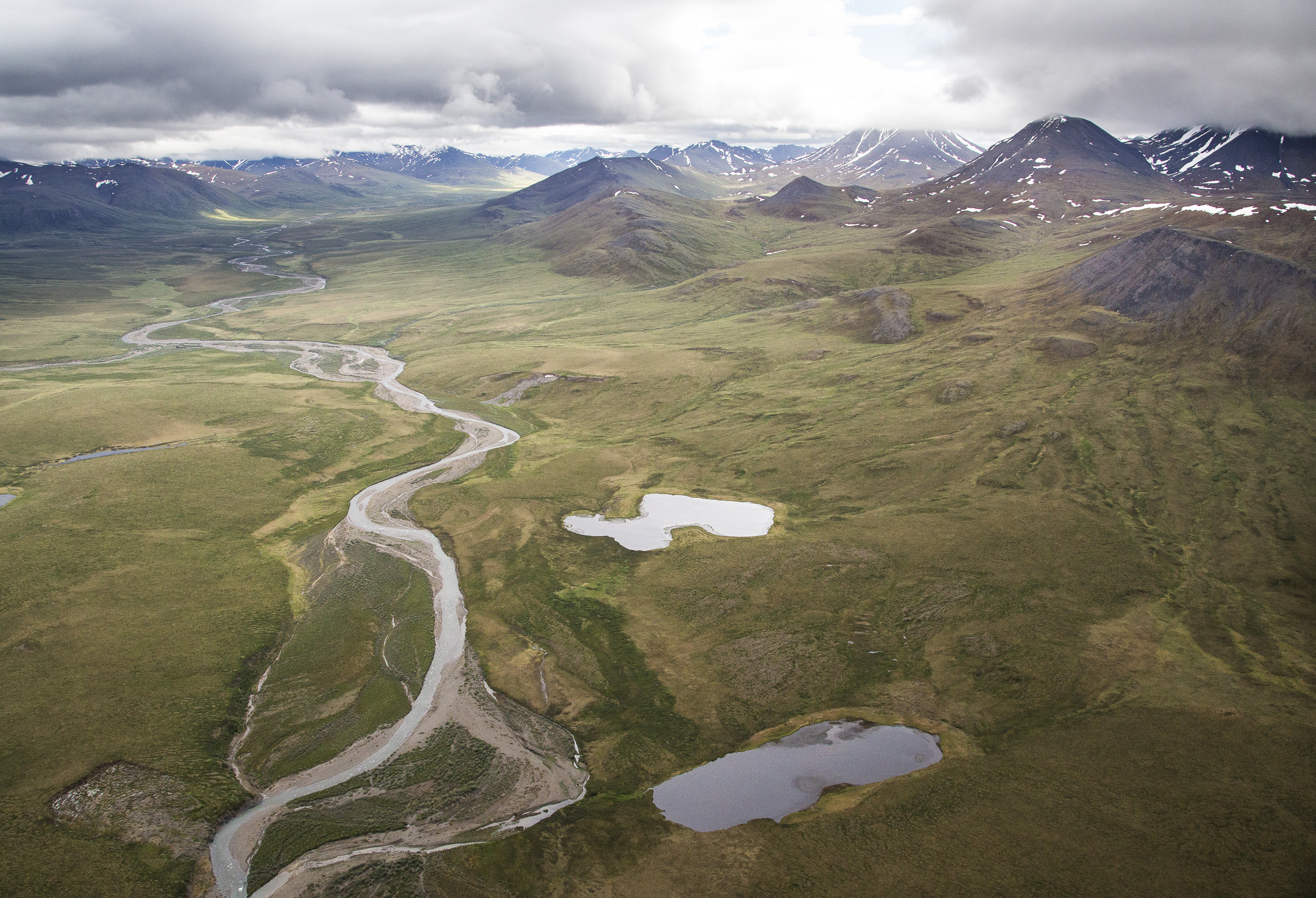 中央北极管理区——一个BLM荒野研究区——位于阿拉斯加北极国家公园和NPRA之间。这片鲜为人知的32万英亩土地由连绵起伏的苔原和白雪覆盖的山峰组成，非常美丽。