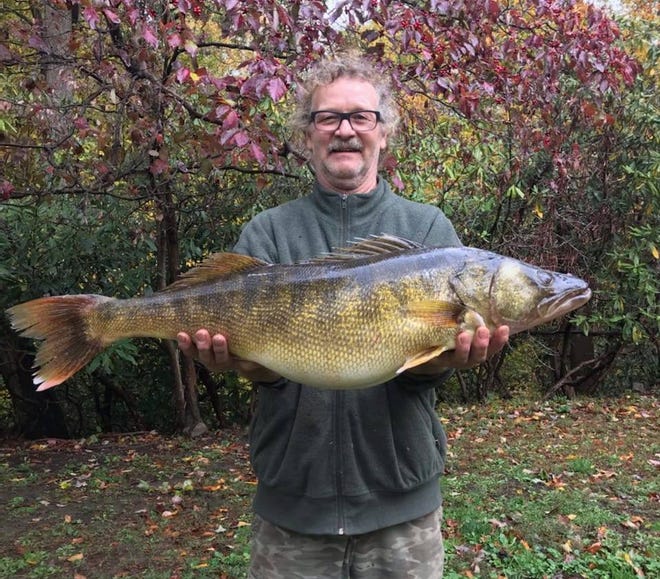 垂钓者理查德·尼科尔森在宾夕法尼亚州他家附近的尤吉奥格尼河捕获了这只巨眼瞪鱼